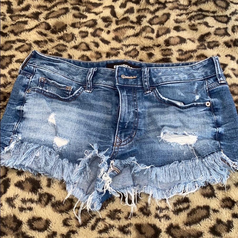 Express Shortie Relaxed Low Rise Shorts